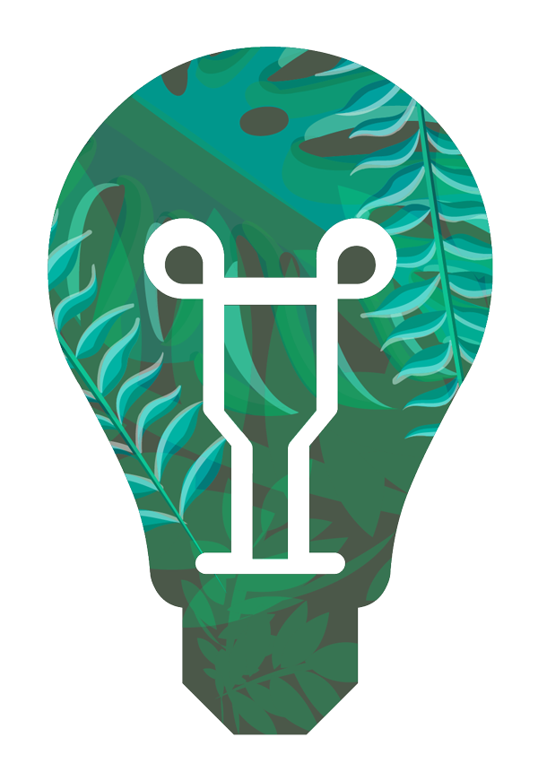 an eco lightbulb