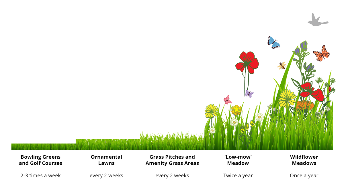diagram showing grass cutting levels throughout the year