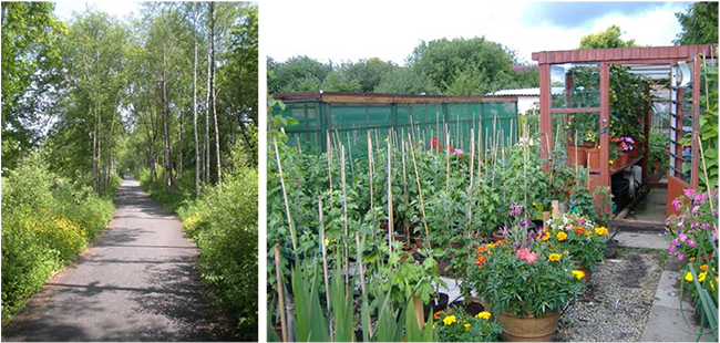 Left Padiham Greenway and right Allotments